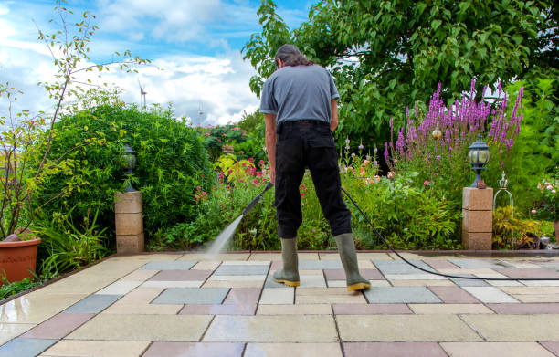 Animal Enclosure Cleaning in Osceola, IN